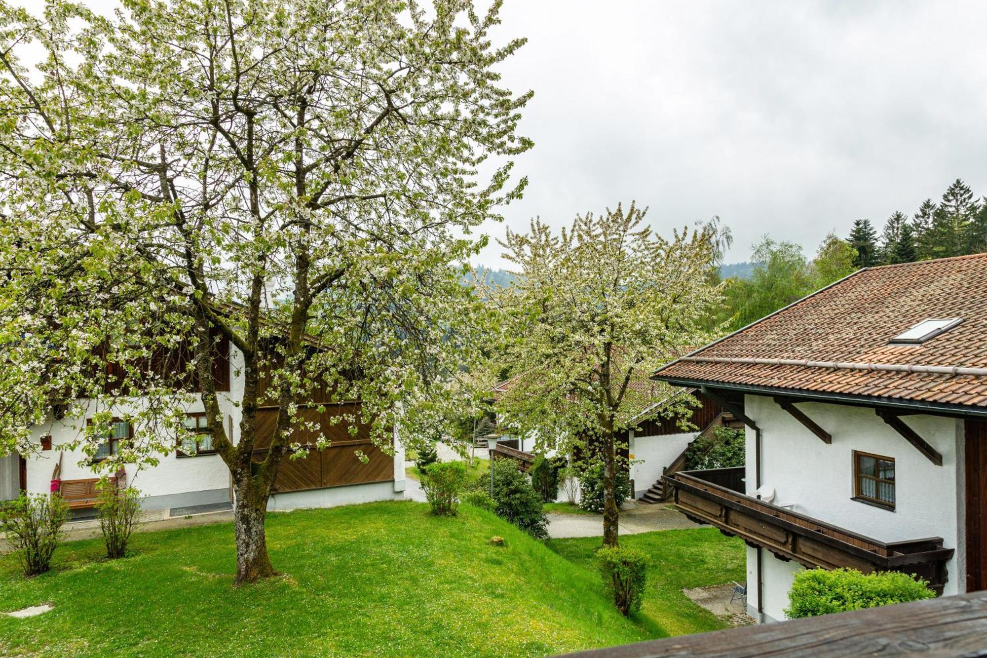 Komfortwohnung Mit Pool Und Sauna Hauzenberg Kültér fotó